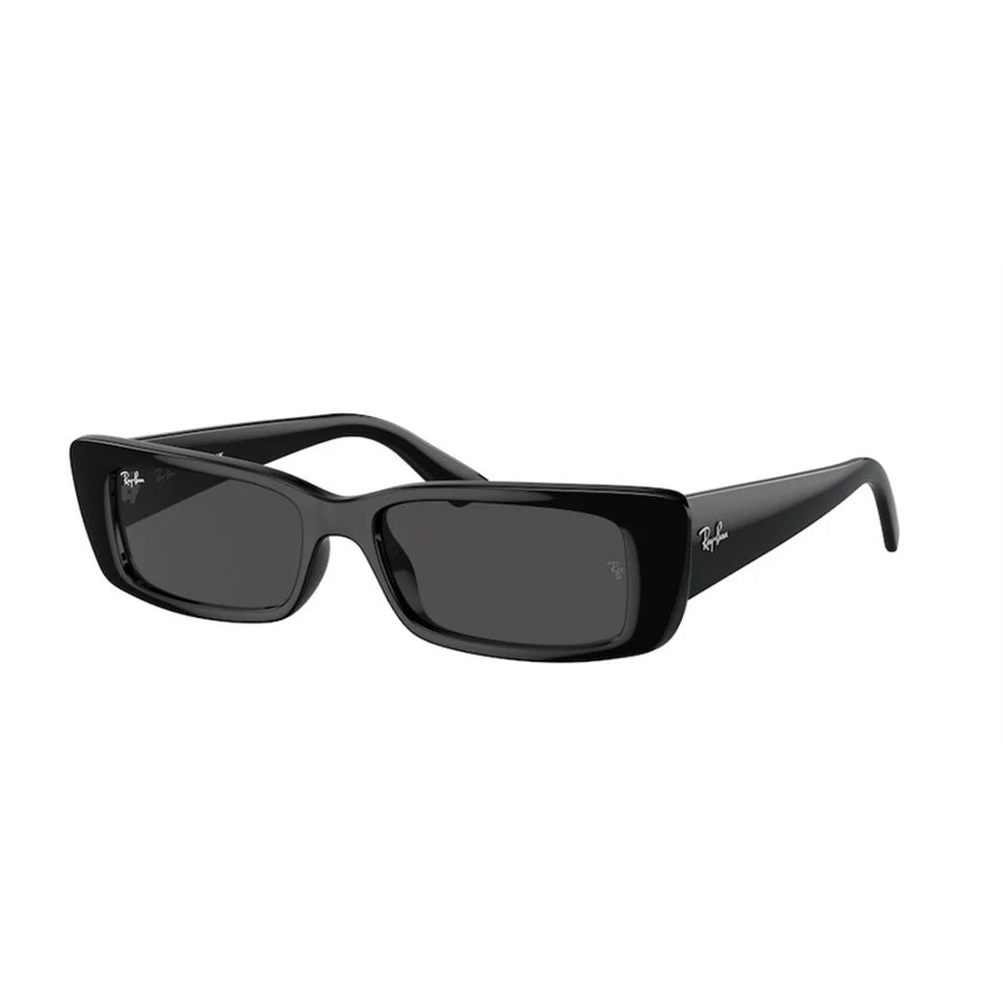 Ray-Ban Teru RB4425
