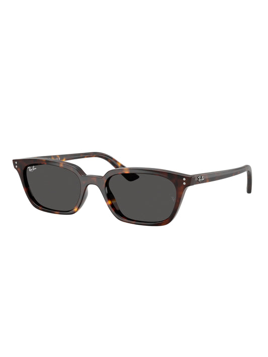 Ray Ban Zaya RB4456 135987